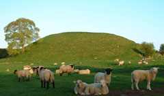 Knowth neolithic tombs